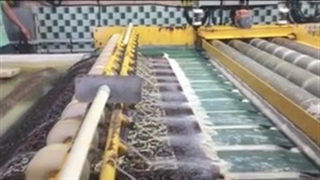 قالیشویی معتبر