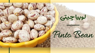 فروش انواع لوبیا چیتی ایرانی