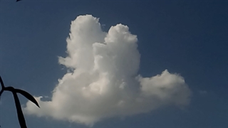 فیلمبردار-حسام الدین شفیعیان