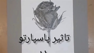 نکته ای ساده درمورد پاسپارت