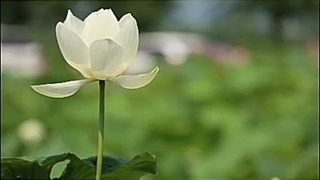 حال بد یا خوب~~~استاد پناهیان~