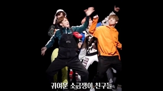 فانی مومنت از sf9 " جوری که این جه دا (اینسونگ، جه یون و داوون) دیوونه بازی در میارن:) "