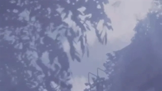 ♡''یادمـه‌که‌گـفتی''♡