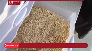 آموزش پرورش کرم میل ورم - اضافه کردن میل ورم های جدید