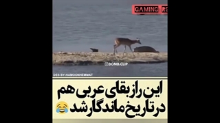 مجموعه رازه بقا های طنز !! خیلی سمه لنتی XXD