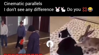 واقعا من بین این دوتا تفاوتی نمیبینم*_*