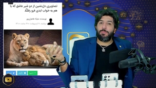 چرا غربگرایان می گویند دو شیر عاشق به خواب ابدی رفتند؟- سواد رسانه - امید دانا