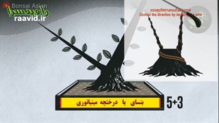 بنسای مینیاتوری