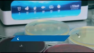 مراحل آزمایش کشت میکروبی HV1004