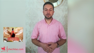 پرورش قرقاول پهلوانی