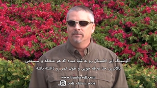 تنظیم آکوسینک