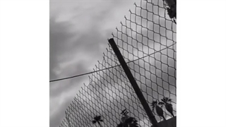 نردبونا رو جمع کنید!!..