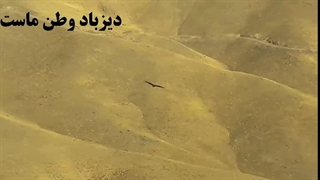 پرواز عقاب بر فراز کوهستان دیزباد