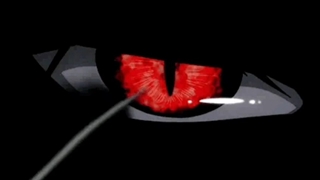 「 SHAPE OF LIE 」