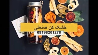خشک کن میوه و سبزی / خشک کن انگور 09198201278