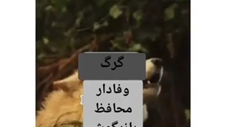 من کدومم؟؟؟