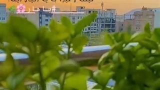 استوری شاد آرامش بخش