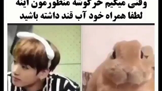 وقتی میگیم کوک خرگوشه منظورمون اینه ಥ‿ಥ عررررررر ಥ‿ಥ