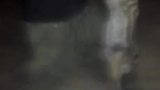 نجات جان بچه گرازها از جوی آب توسط جوان و باغدار و زنبور دار کوهمره