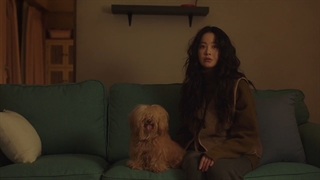 دیوانه برای یکدیگر قسمت 3 + زیرنویس فارسی اضافه شد