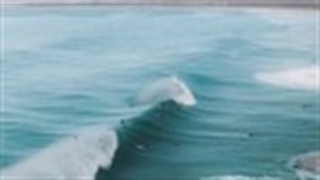 تفاوت دنیا ما آرمی ها و دنیا بقیه مردم