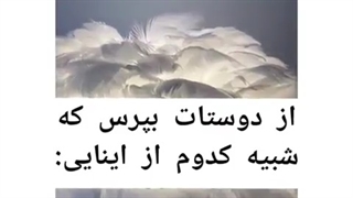 من کدومم؟