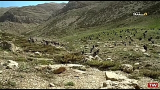 مستند مهرجان۱ / مسعود اسفینی