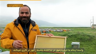 بره یا برگه، مساله این است.