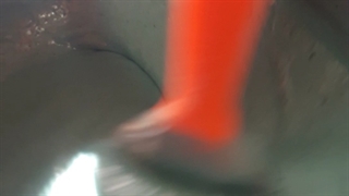 ولاگ پارت دو