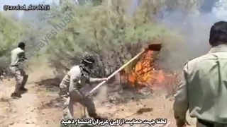 باد شدید و آتش سوزی در پارک ملی دز