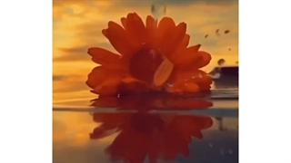 خیلی دوست داشتنی