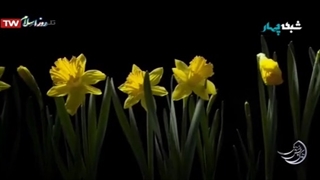 مستند زندگی پس از زندگی ـ قسمت اول فصل اول