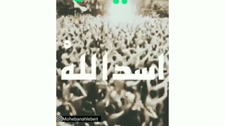 مداحی وحیدشکری.شهادت امام علی(ع).استوری