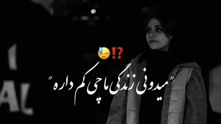 ۴۹۳