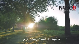 بازخوانی پرواز شیراز گروه دال-NadioDj