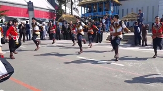 رقص کرمانجی، گروه رقص باوند