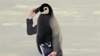 خوب شد پرنده نبودیم.....):