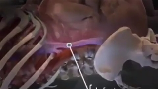 مراقبت های مهم دوران بارداری