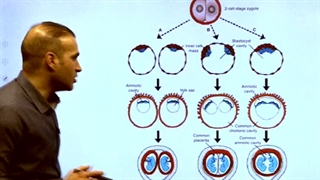 حمید رضا زارعی مدرس زیست کنکور