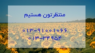 کسب و کارهای نیمه اول خرداد 1400