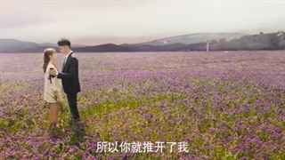 سریال چینی عشق مرموز Mysterious Love قسمت یازدهم (زیرنویس چسبیده)