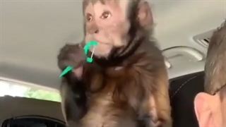 اهمیت استفاده از نخ دندان | کلینیک تخصصی دندانپزشکی کانسپتا