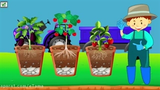 آموزش فصل پنجم درس علوم تجربی - پایه ی اول