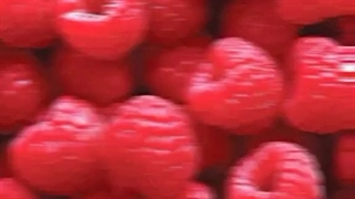 تقدیم به هوپ لاورا