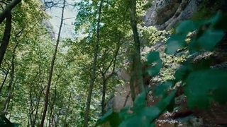 سریال چینی افسانه عقابهای مبارز_The Legend of the Condor Heroesبازیرنویس فارسی قسمت40