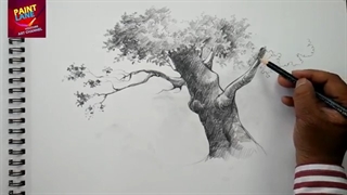 طراحی درخت و سایه