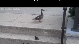 never give up ... :)