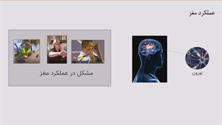 نوروفیدبک چیست؟