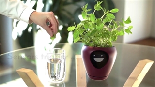 گلدان هوشمند آپارتمانی