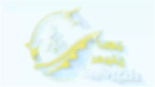 ویدیو خط شستشو بازیافت پلاستیک